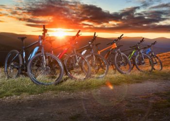 FISCHER_EMTBs Fischer e-Bike 2019