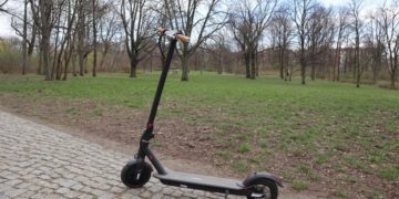 IO Hawk Sparrow im Park