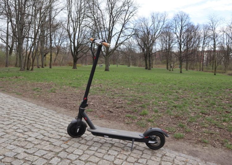 IO Hawk Sparrow im Park