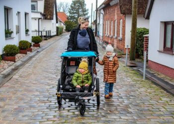 Transportanhänger - Burley Kinder Lifestyle DLite X 01