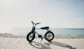 Ruff Cycles - Lil Buddy00008