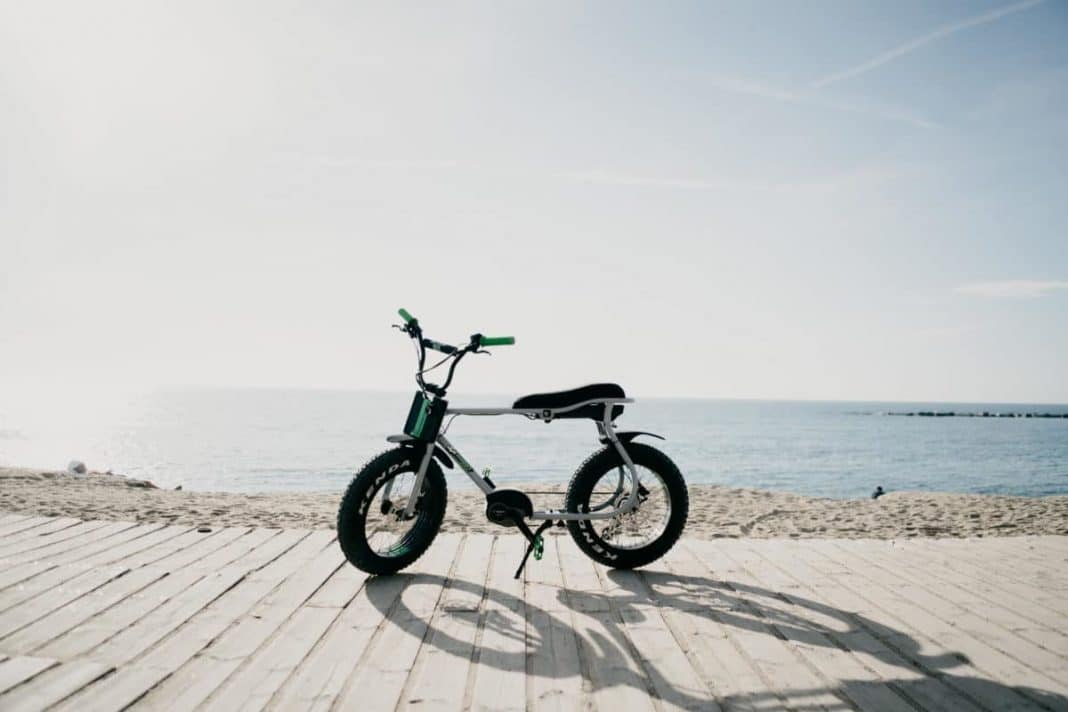 Lil'Buddy Ruff Cycles am Meer