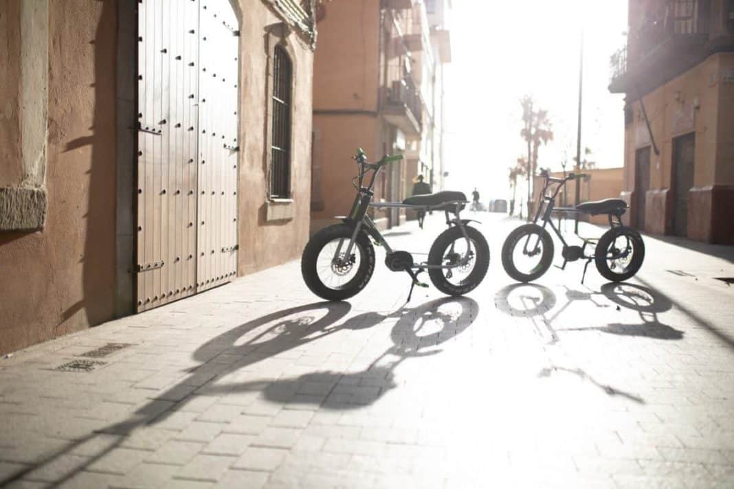 Lil'Buddy Ruff Cycles In der Sonne
