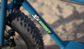 Ruff Cycles - Lil Buddy00021