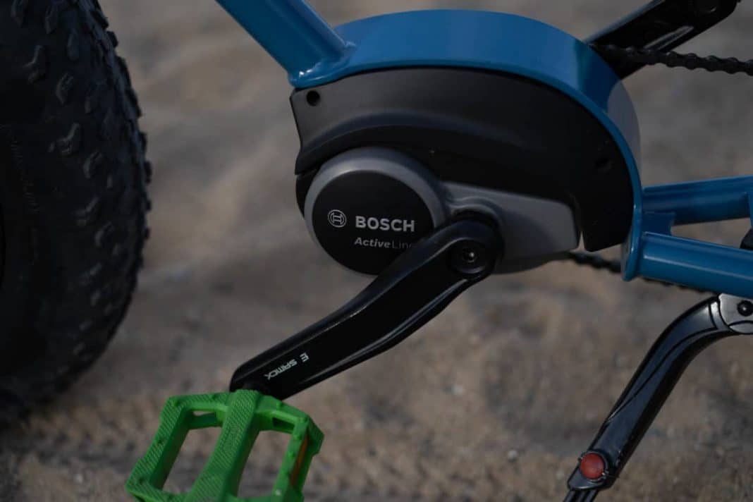 Ruff Cycles - Lil Buddy00024
