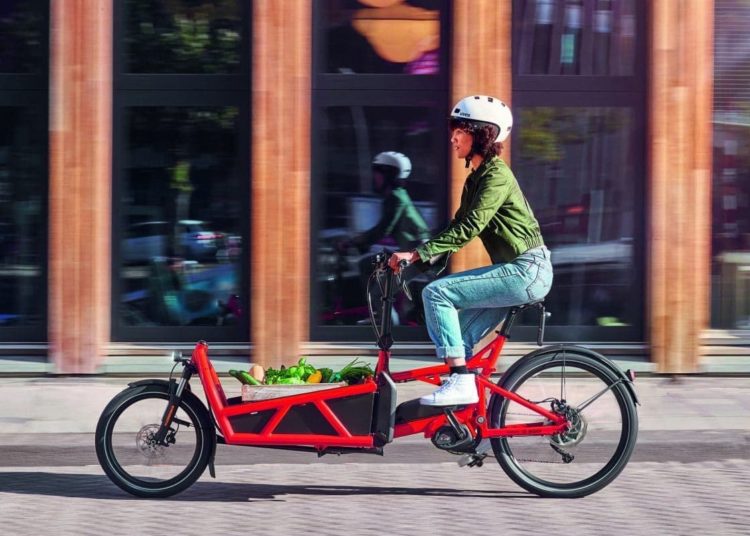 Die Cargo Line Speed ist besonders für längere Wege geeignet, sei es für den Transport im Alltag oder auch für den Einsatz in einem Lieferrad. Foto: Bosch