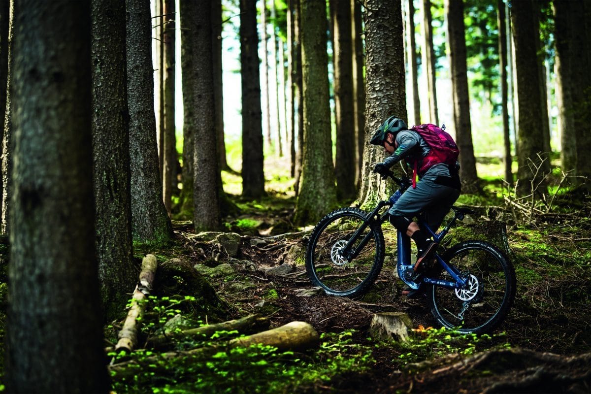 Mountainbiker nutzt PowerTube 625 für eine Waldfahrt