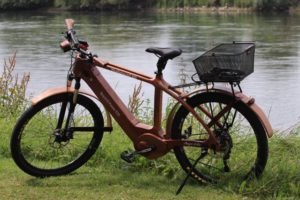 Weltweit erstes Holz-E-Bike aus Mahagoni mit einem Bosch-Motor
