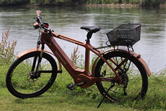 E-Bike - IMG 6749.JPG1