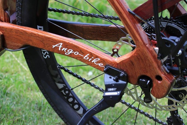 E-Bike - IMG 6755.JPG19