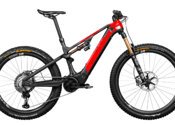 Rotwild E-Bikes 2020 (Foto: Rotwild)