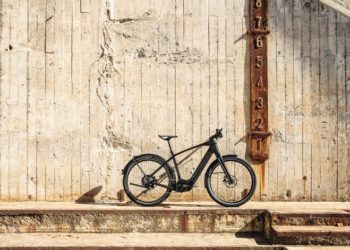 Diamant Zouma Supreme+ Vorstellung - eBike-news