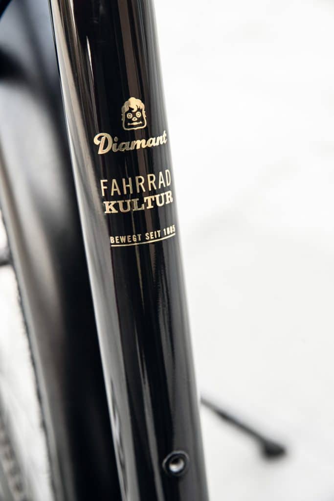 Vorstellung des Diamant Zouma Supreme+ Vorstellung - eBike-news