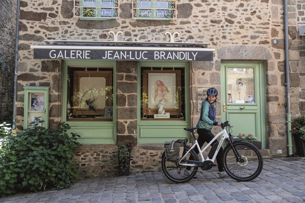Diamant Elan+ 2020 Trapezrahmen - eBikeNews