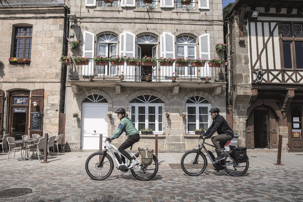 Diamant Elan+ 2020 E-Trekkingbike - eBikeNews