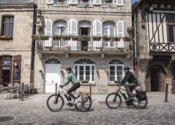 Diamant Elan+ 2020 E-Trekkingbike - eBikeNews