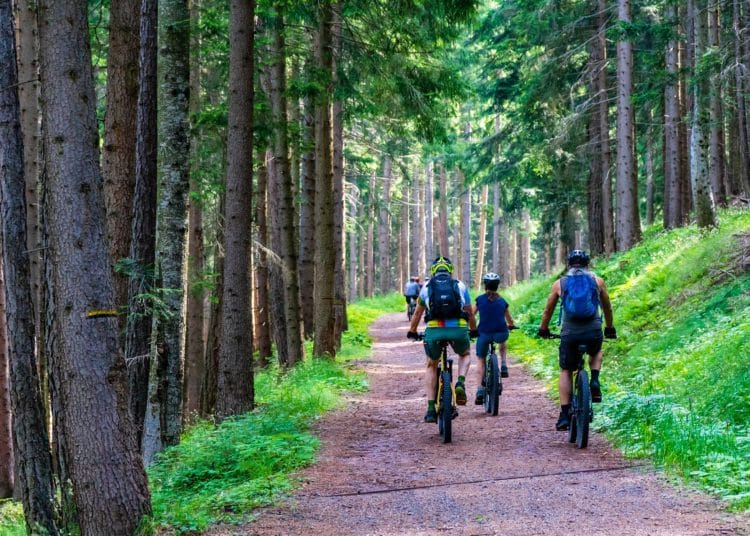 E-Bike und Nachhaltigkeit - wie passt das zusammen? - eBikeNews