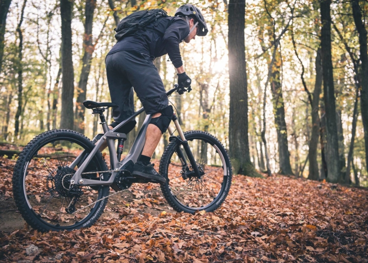 Kinazo E1 E-Fully im Wald - eBikeNews