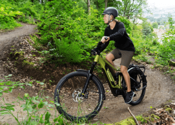 FLYER gewinnt Design & Innovation Award 2020 für Goroc4 - eBikeNews
