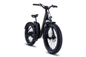 Rad Power Bikes kündigt neue E-Fat-Bikes für 2020 an