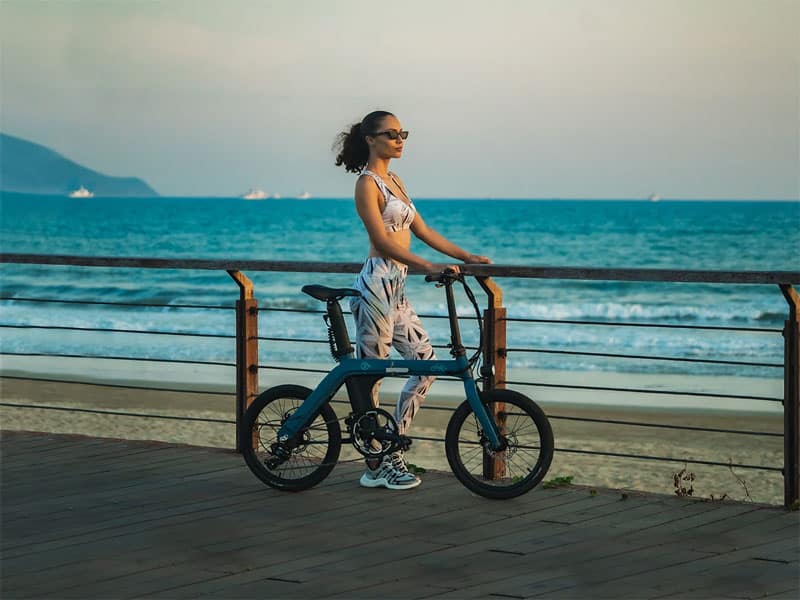 FIIDO D11 - eBikeNews