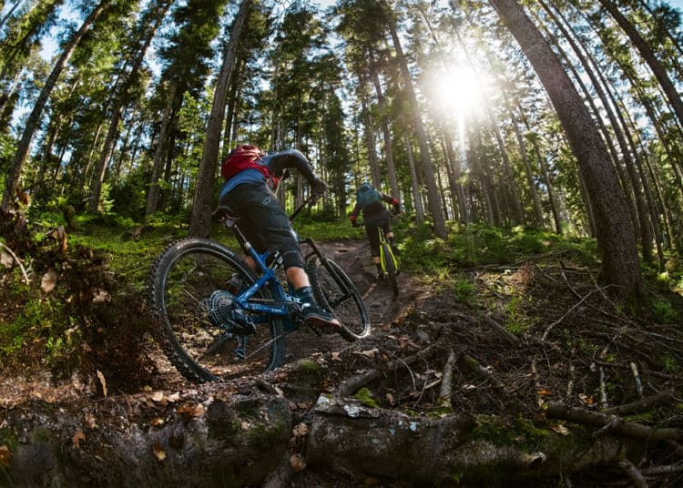 Performance Line CX: E-MTB-Antrieb von Bosch erhält neue Features - eBikeNews