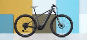 Radon Jealous Hybrid: neues E-MTB in zwei Varianten vorgestellt