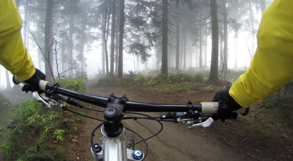 Mit dem E-Fully auf dem Trail
