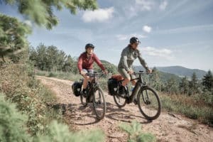 Explore E+ Pro: Giant präsentiert neues E-Trekkingrad für 2021