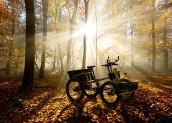Rohloff - 4forest im wald
