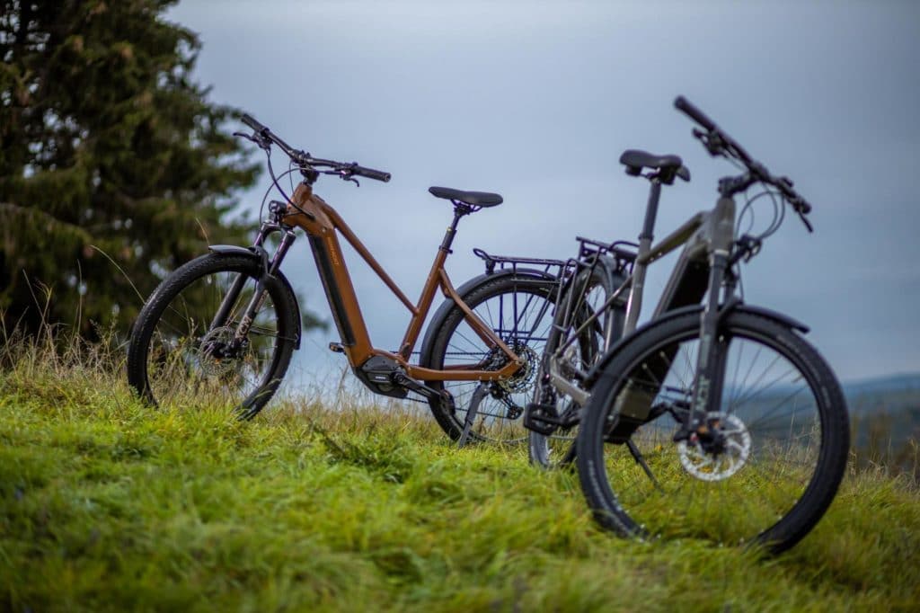 Trekking-E-Bikes Diamant und Trapezrahmen - eBikeNews
