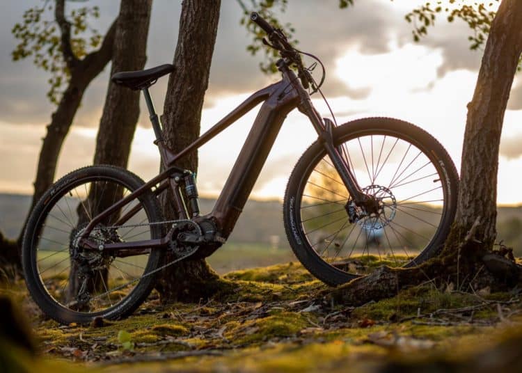 HoheAcht E-Hardtail - eBikeNews
