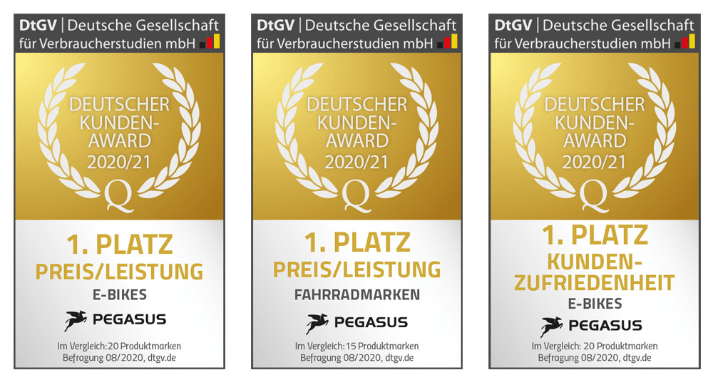 Deutscher Kunden-Award 2020/21: PEGASUS dreimal Erster
