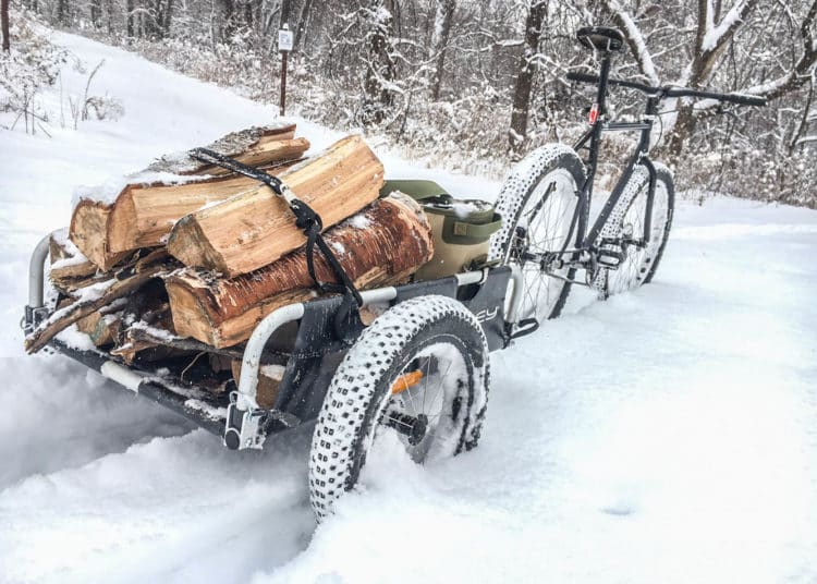 Anhänger | Transportanhänger | Winter - Burley Gepaeck Flatbed16 Lifestyle 04