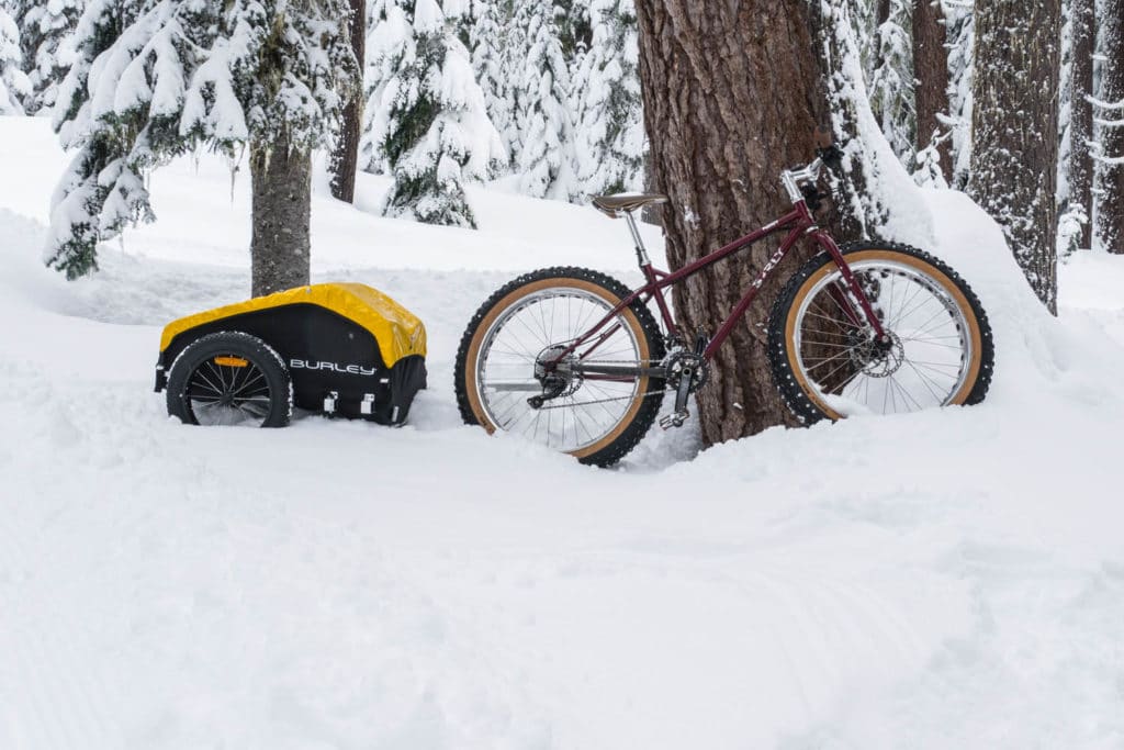Nomad Fatbike Anhänger - eBikeNews
