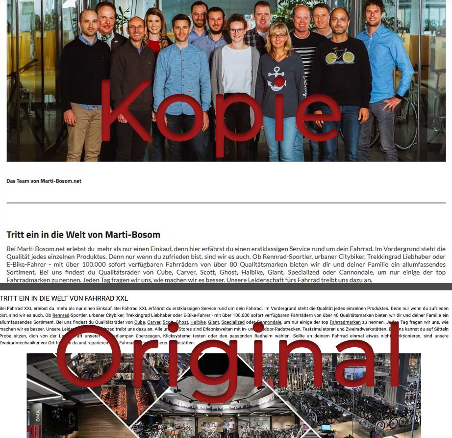 Fakeshop Beschreibung - eBikeNews