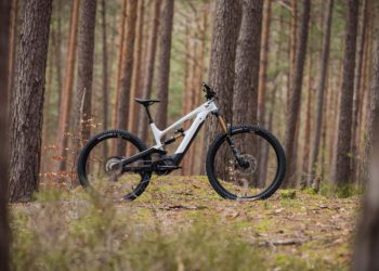 YT Industries Decoy - eBikeNews