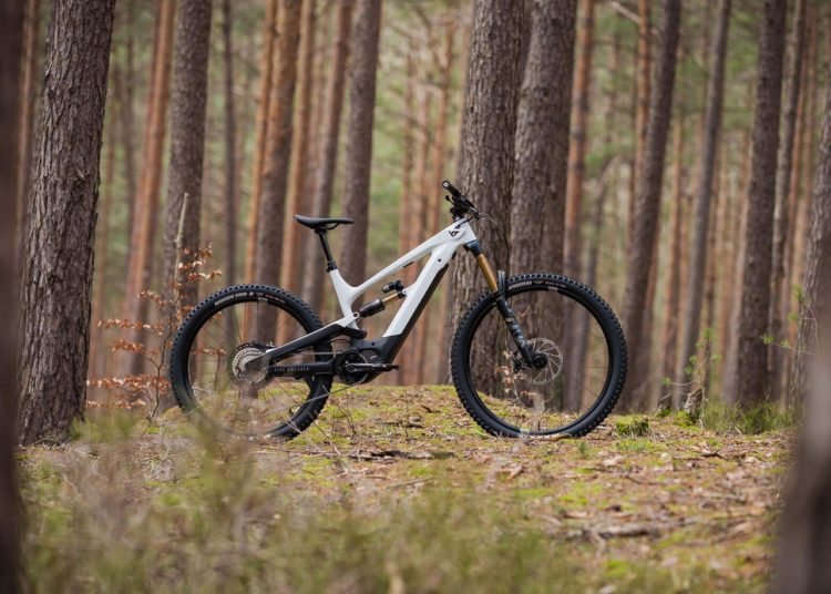YT Industries Decoy - eBikeNews