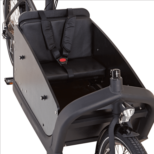 Prophete Cargo Aldi Transportbox - eBikeNews