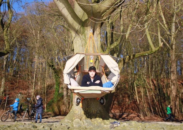 Tree Trailer: Interview Henry Wein - eBikeNews