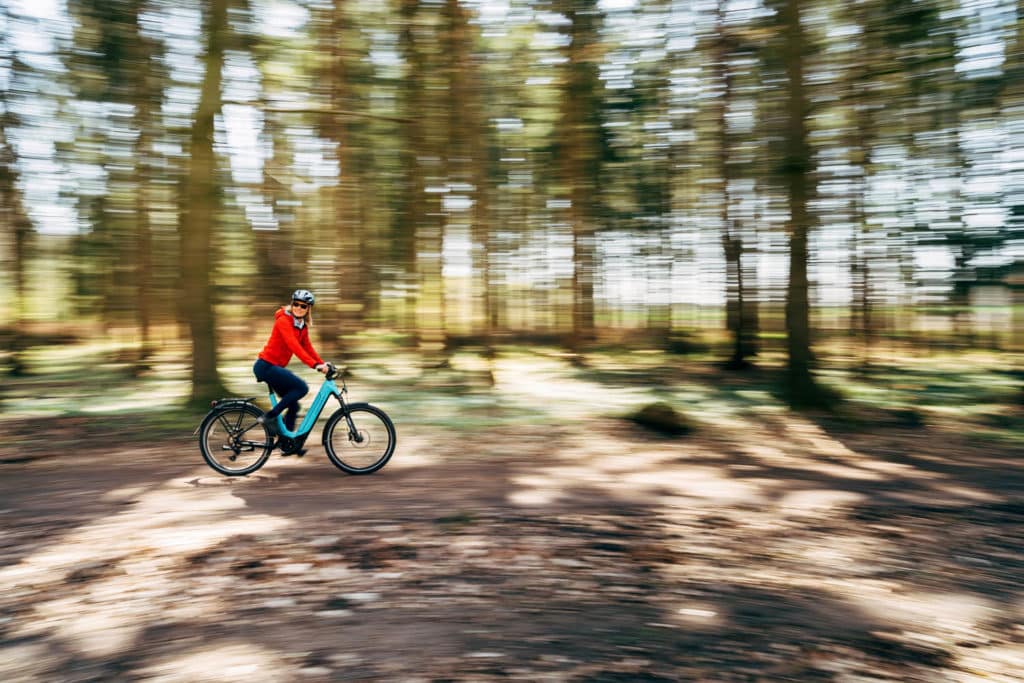 eParcours im Wald - eBikeNews