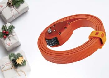 E-Bike Adventskalender Schloss - eBikeNews