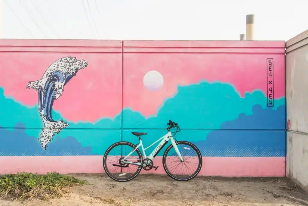 S-Pedelec - Aventon Soltera