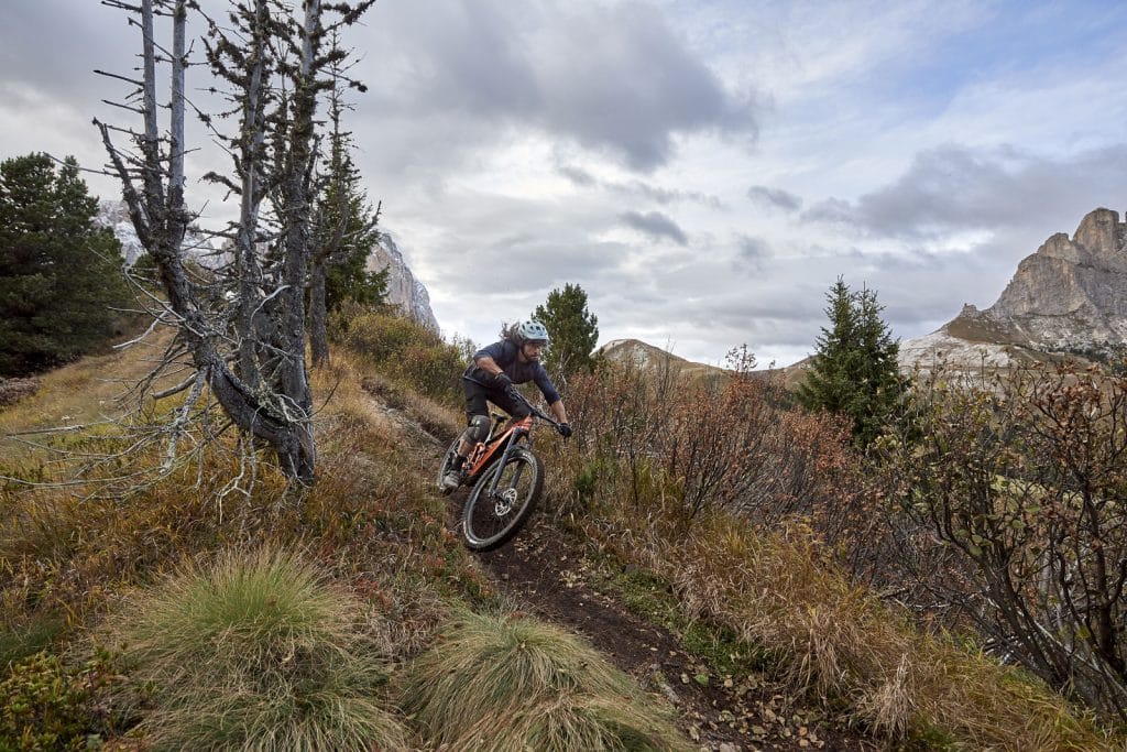 E-Fully | E-Mountainbike | E-MTB - Giant Trance X E 0896