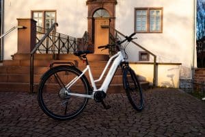 Vecocraft Aura im Test: 100 Newtonmeter am Alltags-E-Bike