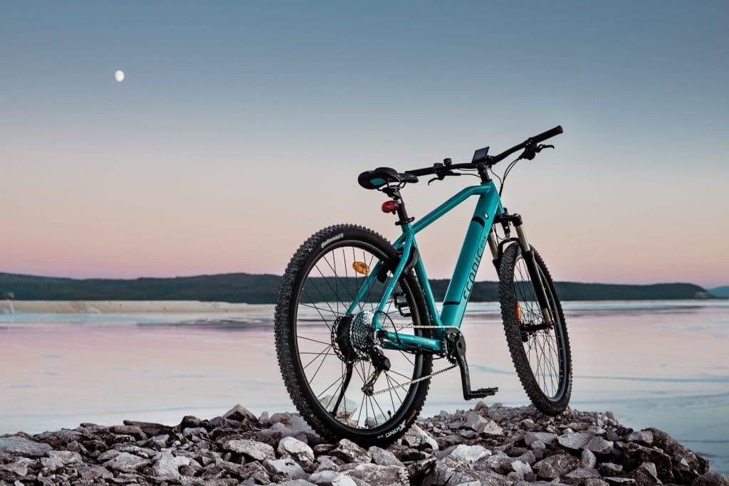 Econic One Cross Country - eBikeNews