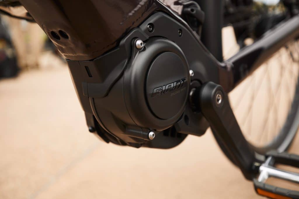 Liv mit Giant SyncDrive - eBikeNews