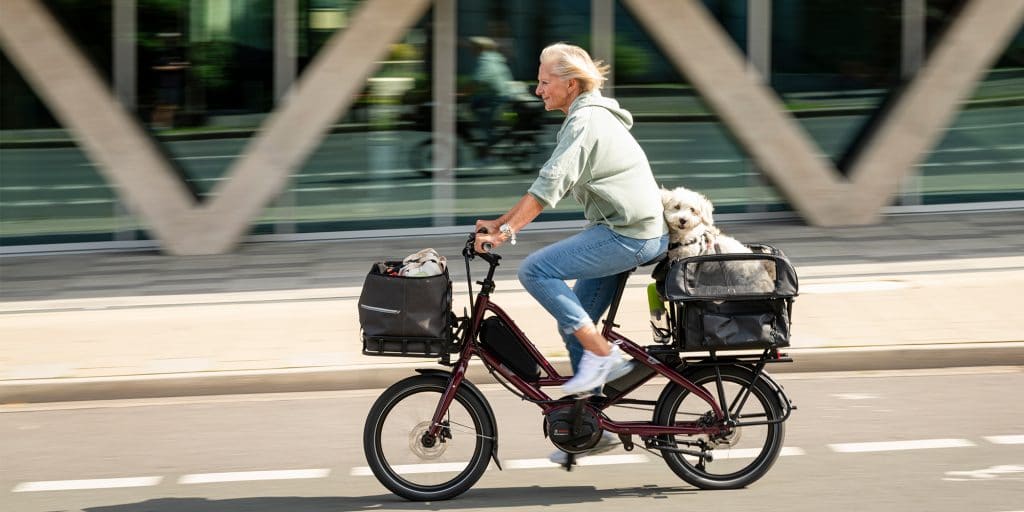 Tern Quick Haul - eBikeNews