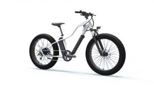 Günstiges E-Fatbike fährt 90 Kilogramm Zuladung notfalls auch durchs Gelände