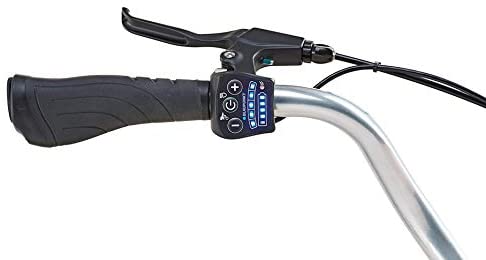 Prophete Geniesser 21.ESC.30 City - eBikeNews
